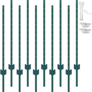 c03cfd8d-9dd1-4061-a8c1-bcfbbbcd3164_1600x1600.jpeg.format.jpg